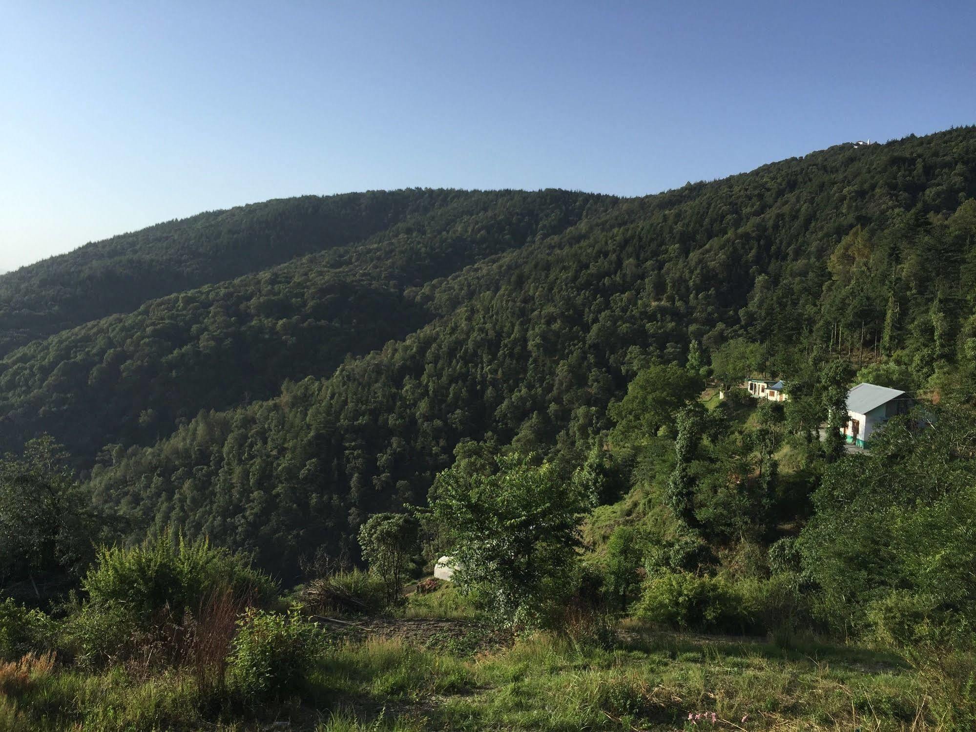 منتجع فيرنهيل تشايل المظهر الخارجي الصورة